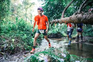 BIB: 
                            <button type="button" onclick="openModal(25441674)" class="btn btn-primary btn-sm float-right btn-popup" data-toggle="modal" data-target=".modal-high-quality">
                        <i class="fas fa-shopping-cart"></i> Add to Cart
                    </button>
                                            <button type="button" onclick="isThisMe(25441674, true)" class="btn btn-success btn-sm float-right btn-popup btn-isme hidden" data-toggle="tooltip" data-placement="bottom" title="นี่คือรูปของคุณใช่ไหม คลิกที่นี่เพื่อเอาเข้าอัลบั้ม">
                        <i class="fas fa-plus"></i> Add to album
                    </button>
                    <button type="button" onclick="isThisMe(25441674, false)" class="btn btn-warning btn-sm float-right btn-popup btn-isnotme hidden">
                        <i class="fas fa-ban"></i> Remove from album
                    </button>